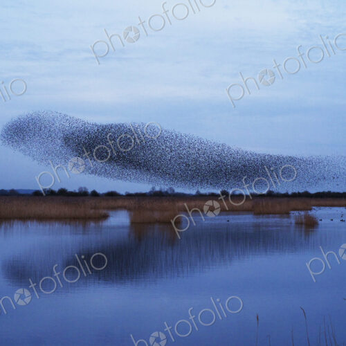 Stock image 20160
