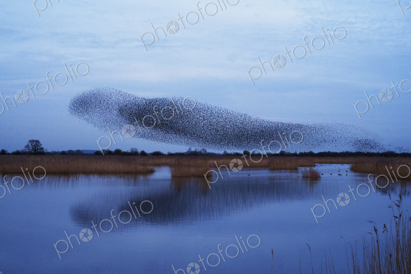 Stock image 20160
