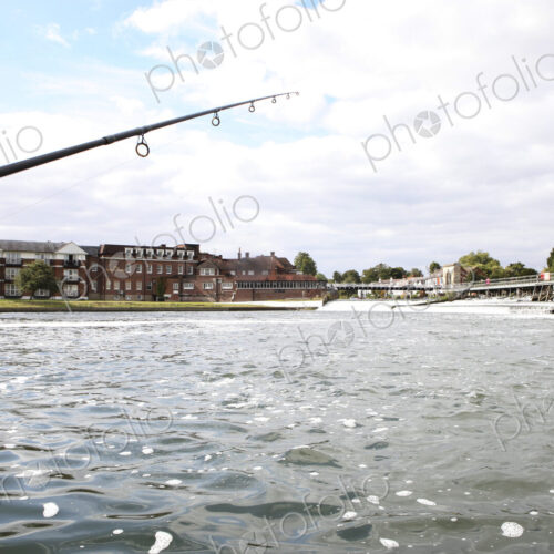 Stock image 20165