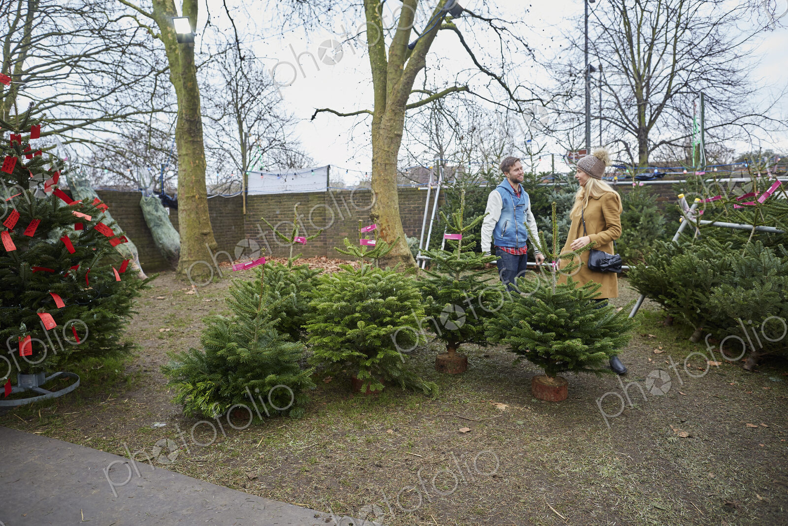 Stock image 20216