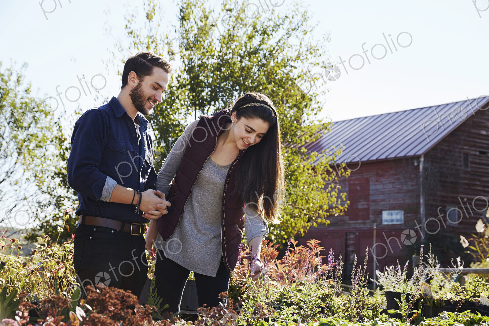 Stock image 26022