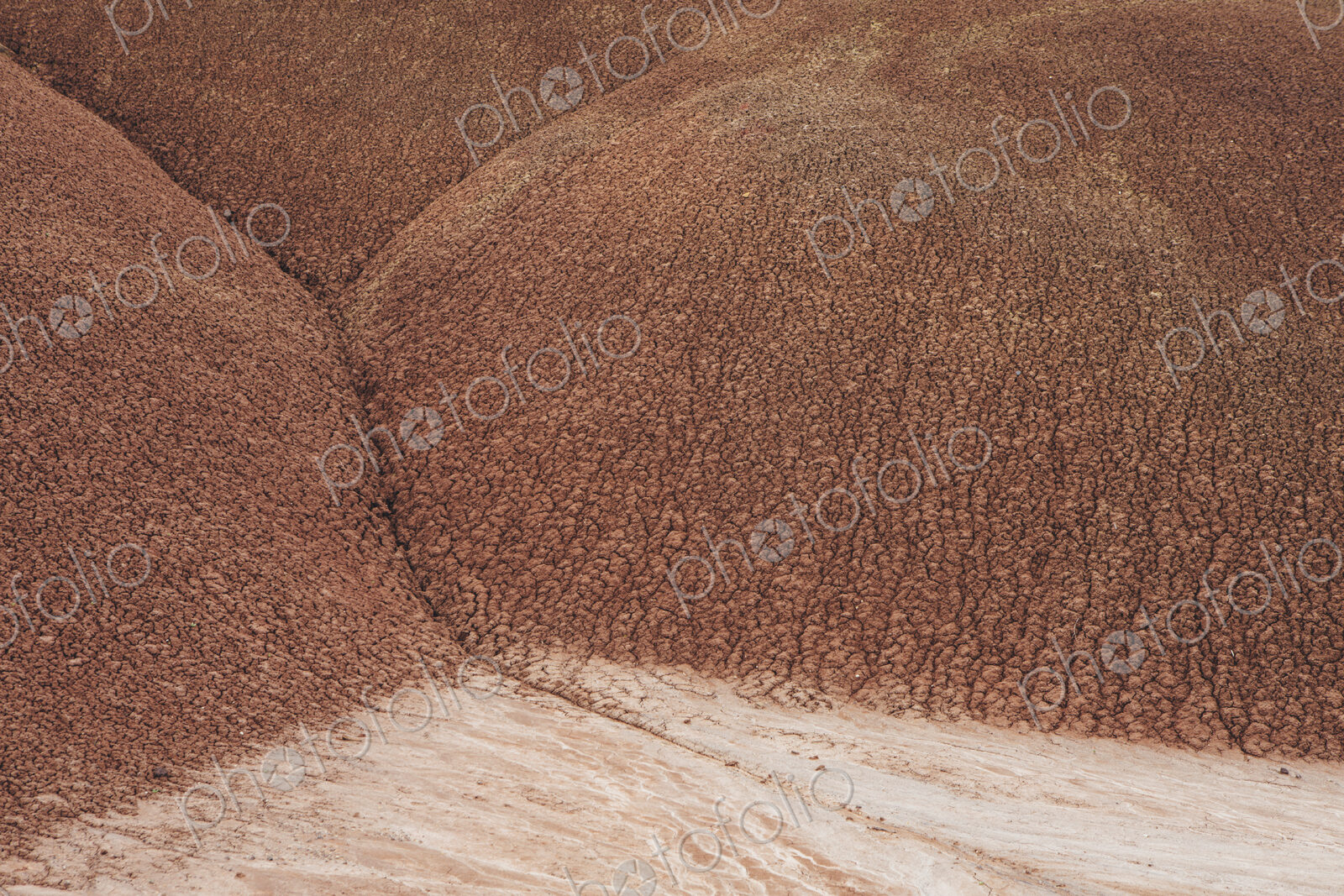 Stock image 27291