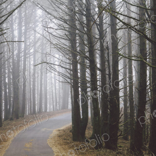 Stock image 36891