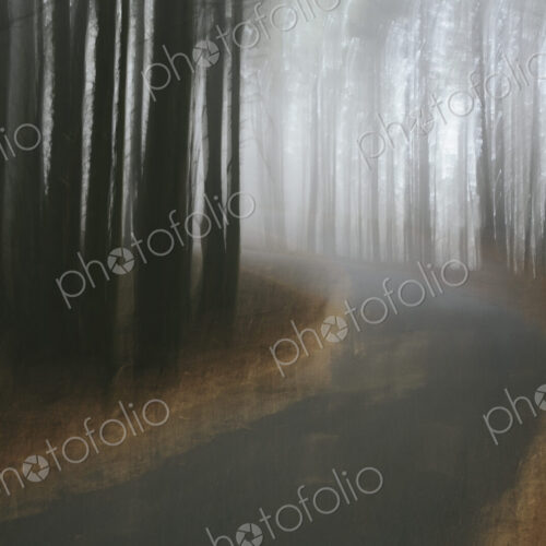 Stock image 36892