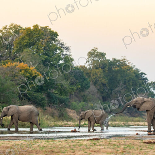 Stock image 80419 Stock image 80419