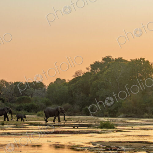 Stock image 80420 Stock image 80420