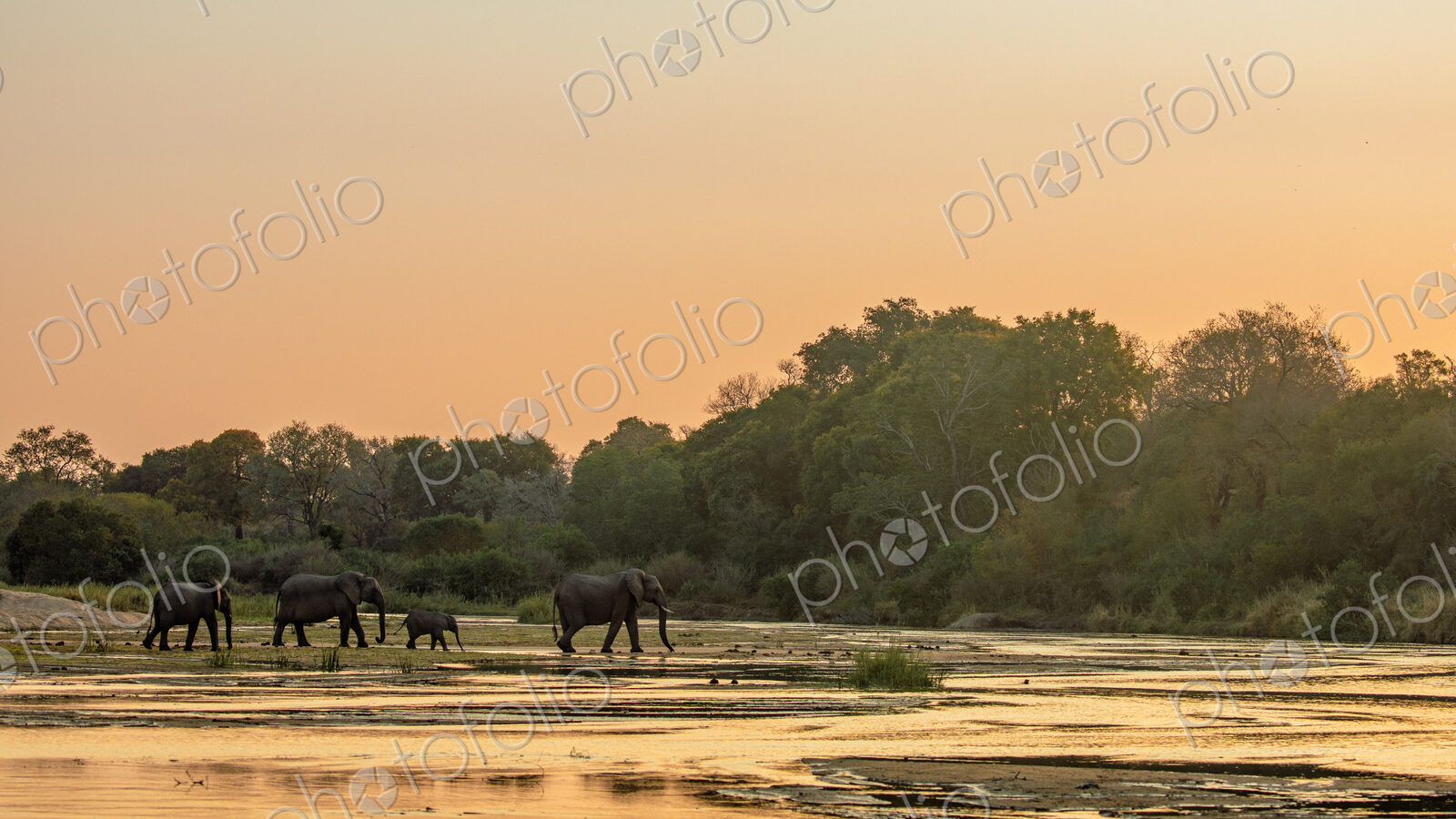Stock image 80420