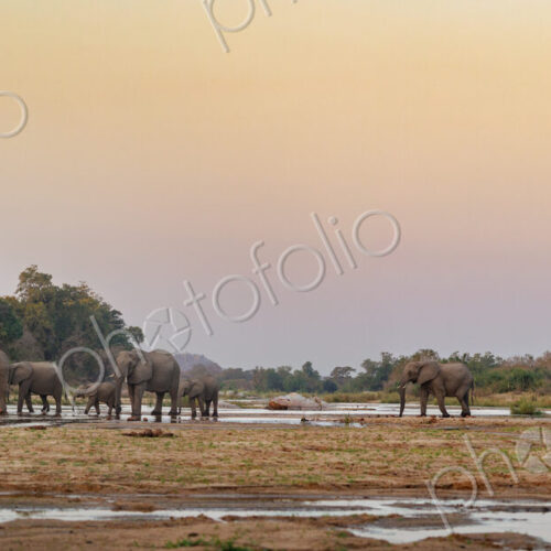 Stock image 80421 Stock image 80421