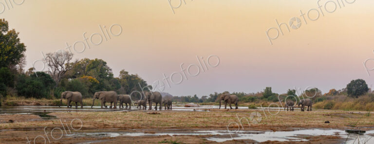 Stock image 80421