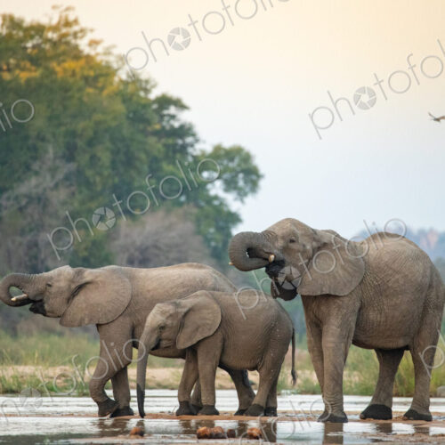 Stock image 80422 Stock image 80422
