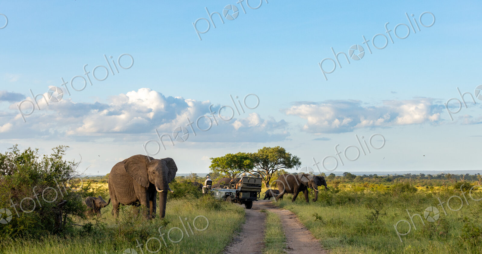 Stock image 80435