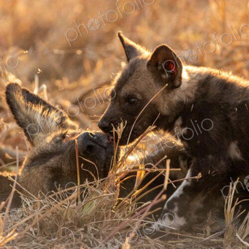 Stock image 80454 Stock image 80454