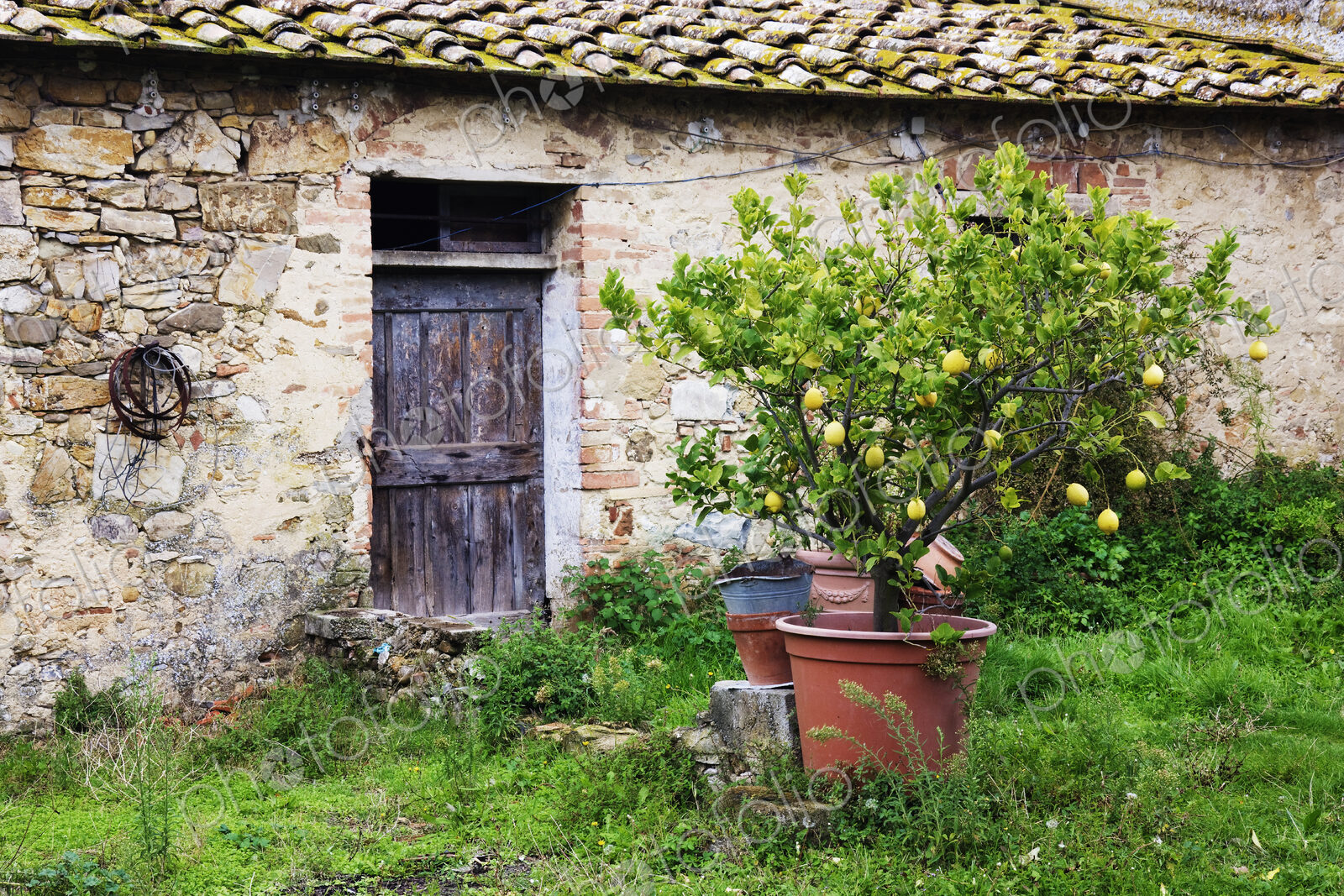 Stone Barn and Lemon Tree