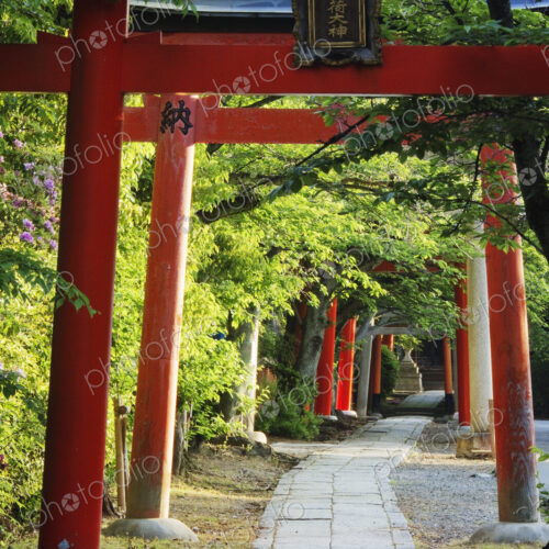 Stone Path and Japanese Arches Stone Path and Japanese Arches