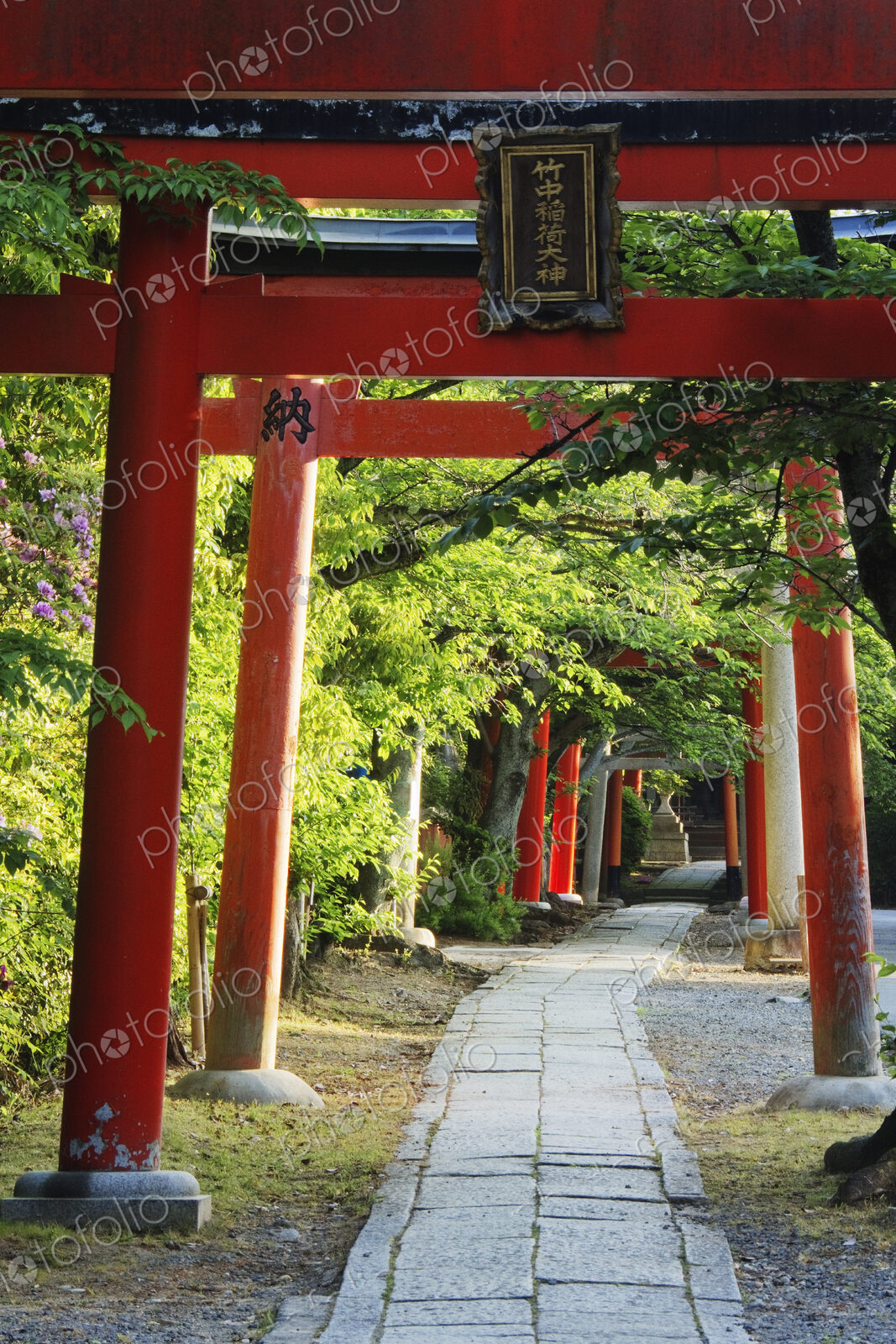 Stone Path and Japanese Arches