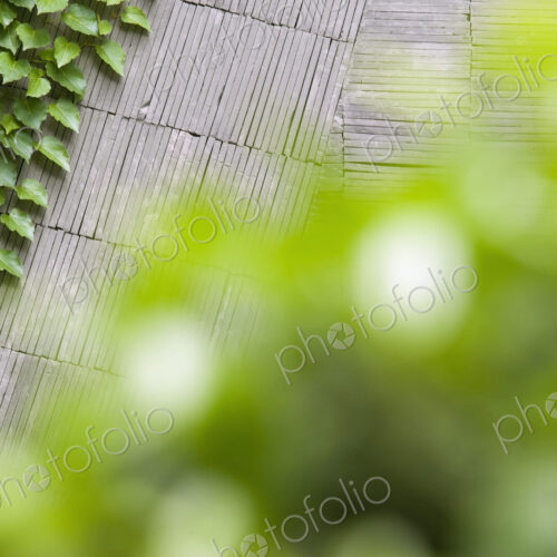 Stone Paving and Greenery, view from above Stone Paving and Greenery, view from above