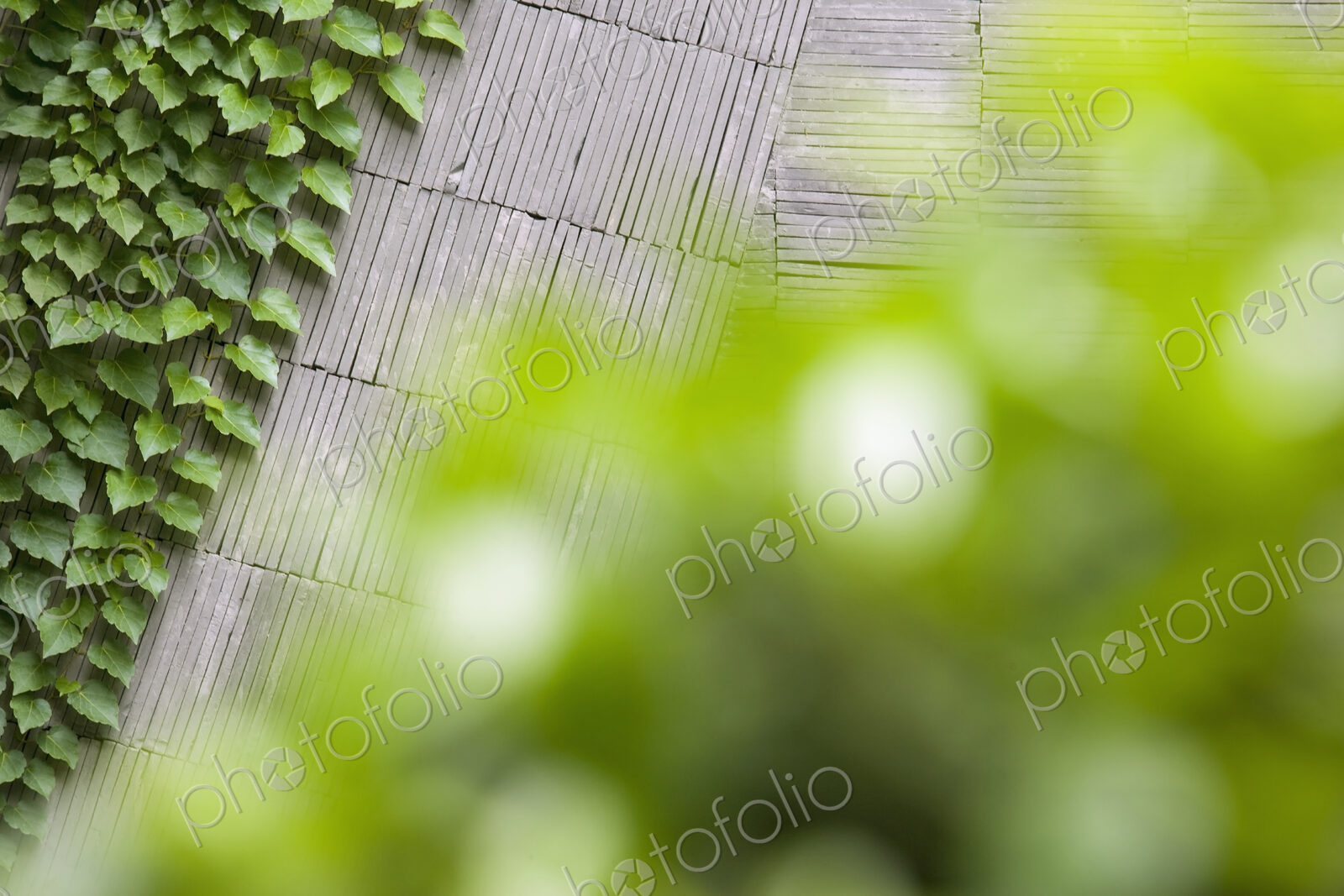 Stone Paving and Greenery, view from above