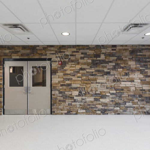 Stone wall in lobby of animal shelter Stone wall in lobby of animal shelter