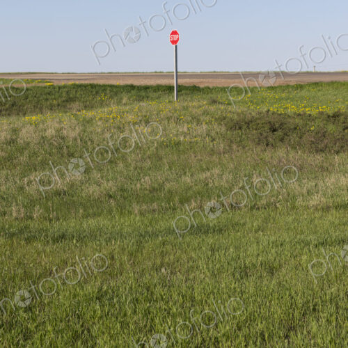 Stop sign along rural road and farm, near Cadillac, Saskatchewan, Canada.