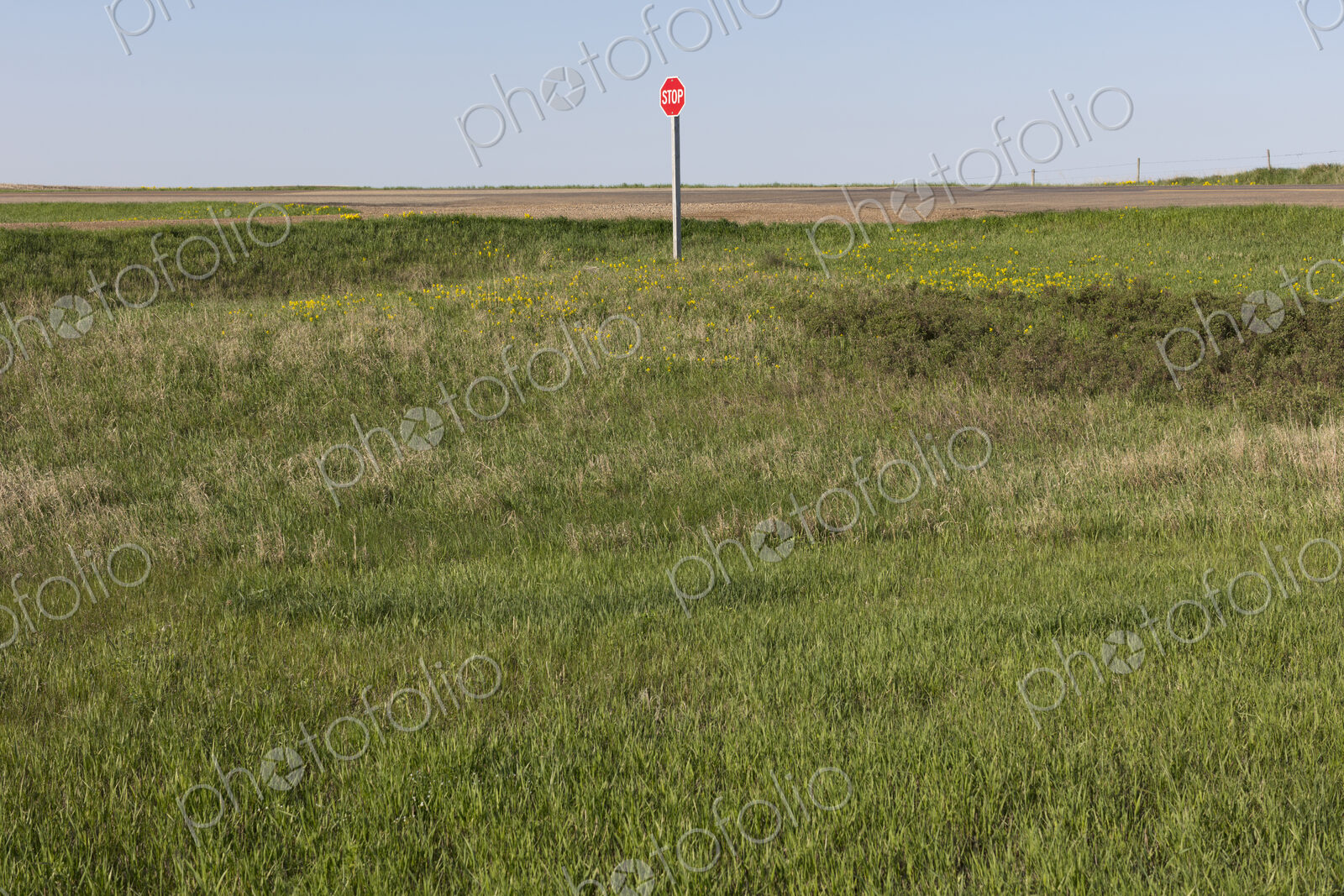 Stop sign along rural road and farm, near Cadillac, Saskatchewan, Canada.