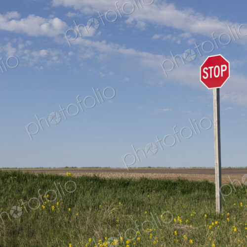Stop sign along rural road and farm, near Cadillac, Saskatchewan, Canada.