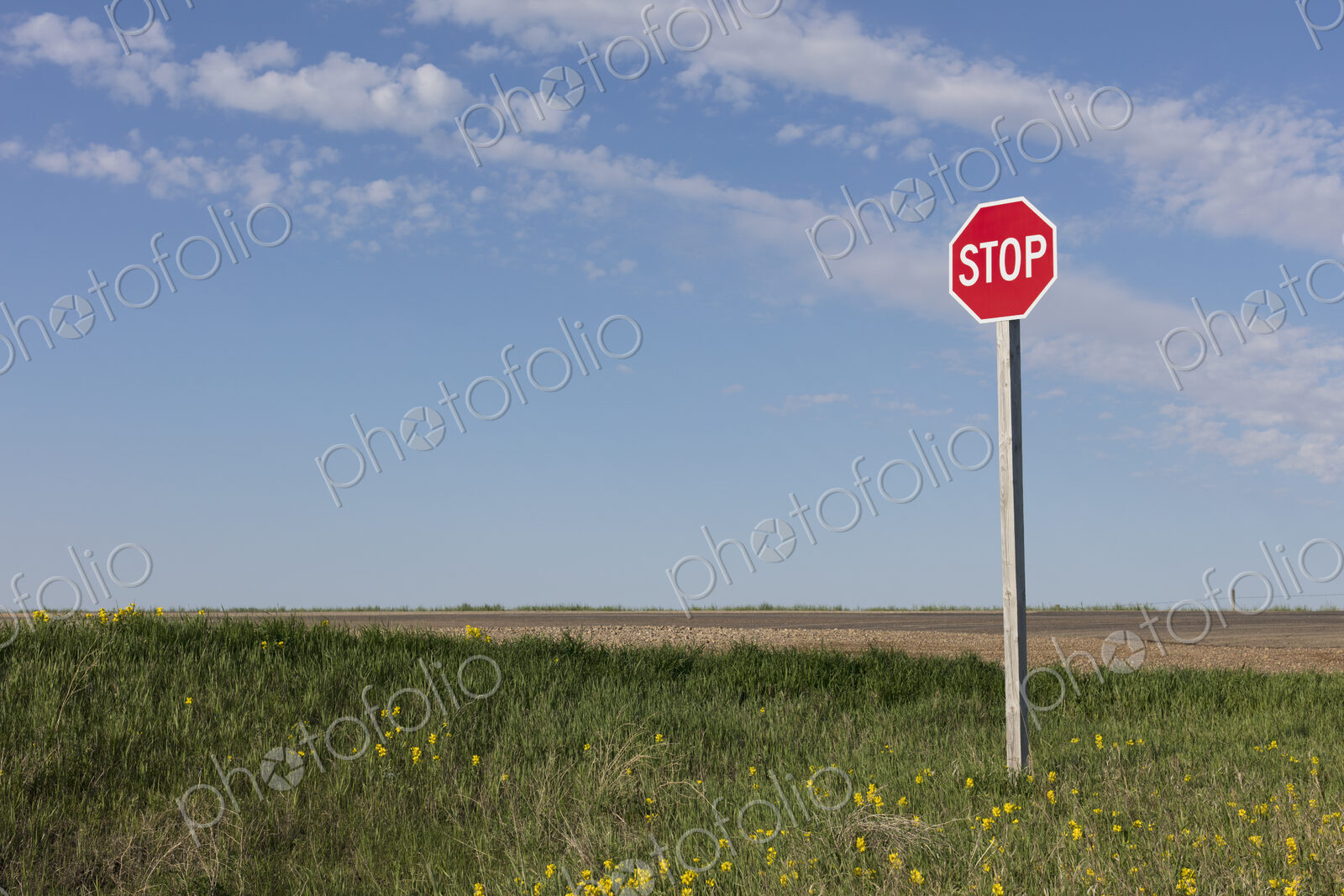 Stop sign along rural road and farm, near Cadillac, Saskatchewan, Canada.