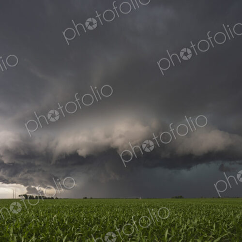 Storm cloud structure in the sky over a corn field with a green crop, billowing white… Storm cloud structure in the sky over a corn field with a green crop, billowing white…