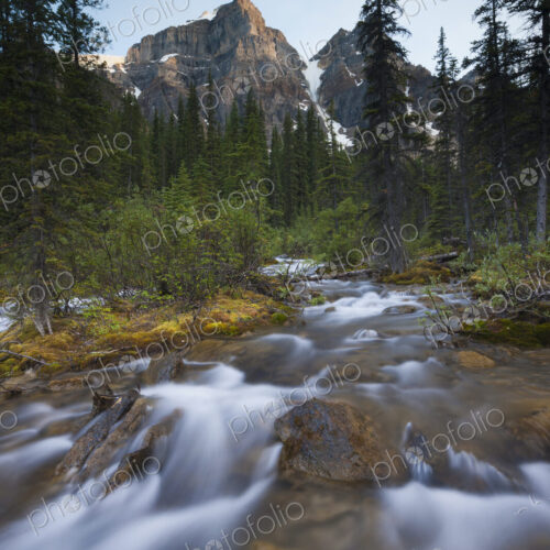 Stream in the Valley of the Ten Peaks, Banff National Park, Alberta, Canada