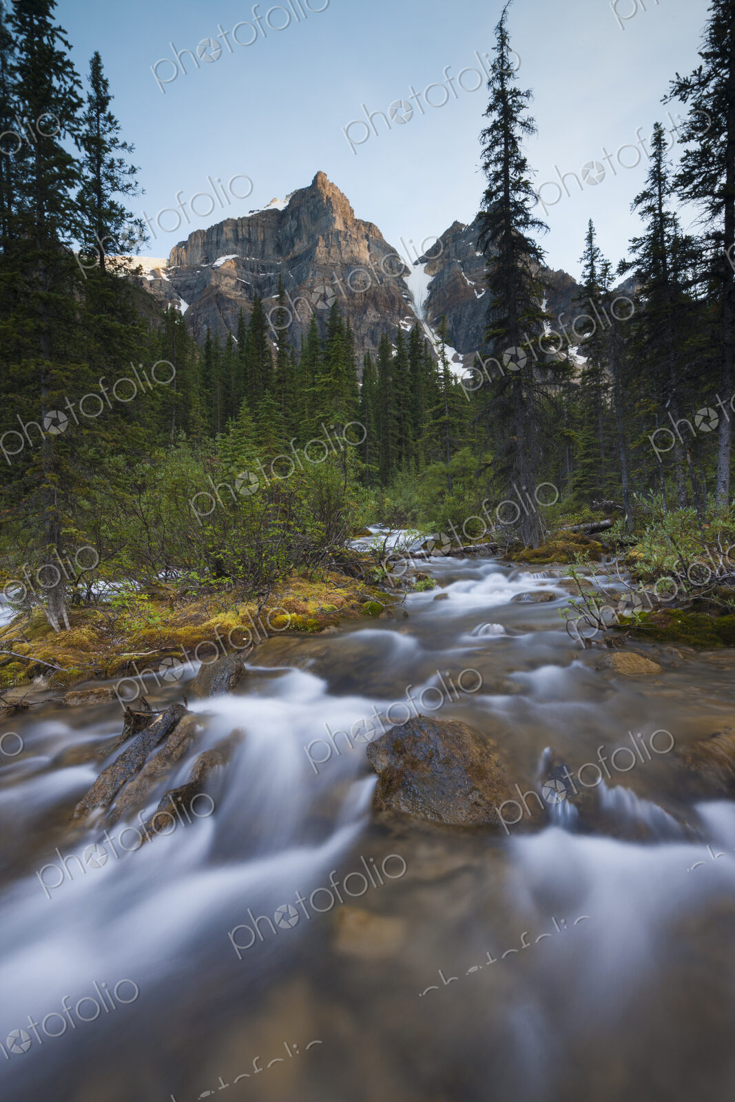 Stream in the Valley of the Ten Peaks, Banff National Park, Alberta, Canada
