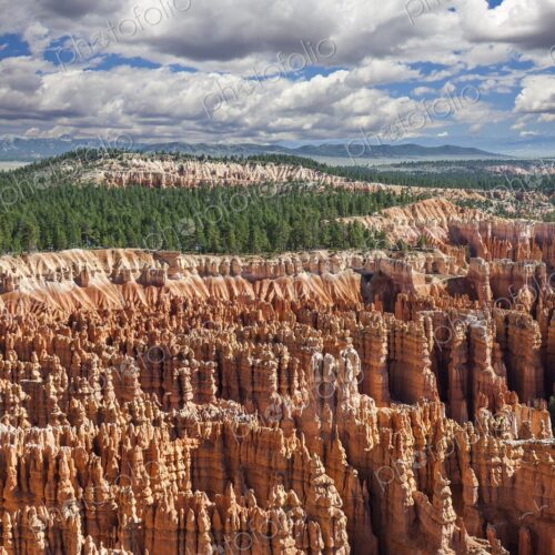 Striking hoodoos rise in vivid red and orange below a lush pine forest in Bryce Canyon… Striking hoodoos rise in vivid red and orange below a lush pine forest in Bryce Canyon…