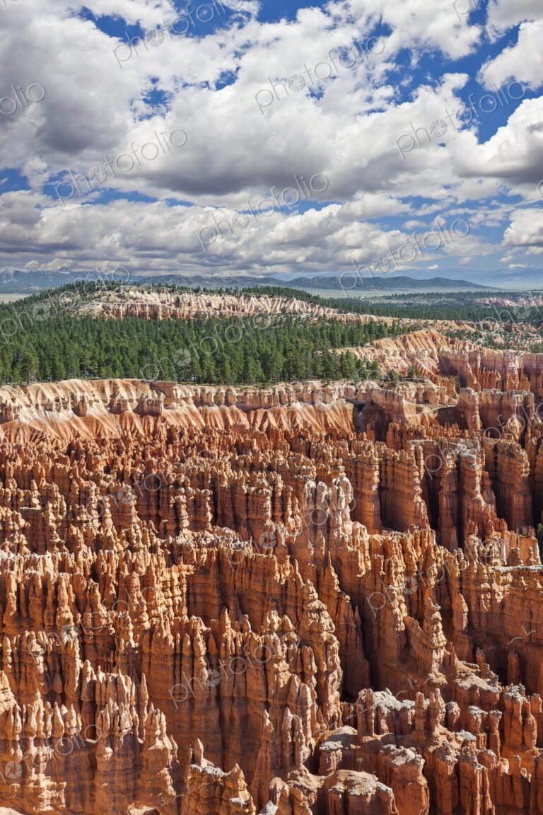 Striking hoodoos rise in vivid red and orange below a lush pine forest in Bryce Canyon…