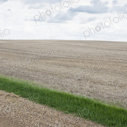 Strip of green grass and fallow farmland, Saskatchewan, Canada.