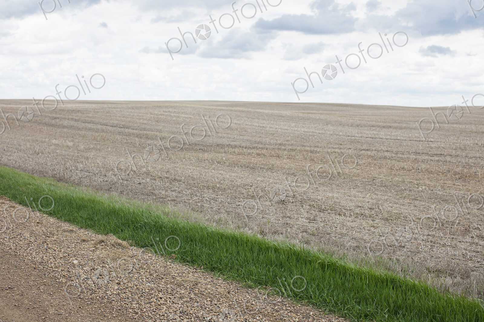 Strip of green grass and fallow farmland, Saskatchewan, Canada.