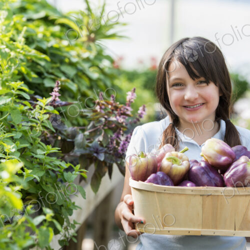 Summer on an organic farm. A girl holding a basket of fresh bell peppers. Summer on an organic farm. A girl holding a basket of fresh bell peppers.