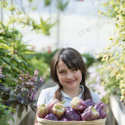 Summer on an organic farm. A girl holding a basket of fresh bell peppers. Summer on an organic farm. A girl holding a basket of fresh bell peppers.