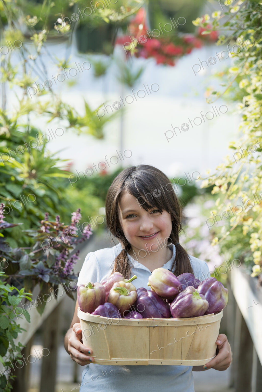 Summer on an organic farm. A girl holding a basket of fresh bell peppers.