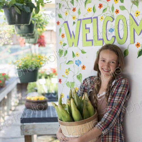 Summer on an organic farm. A girl holding a basket of fresh corn standing by the…