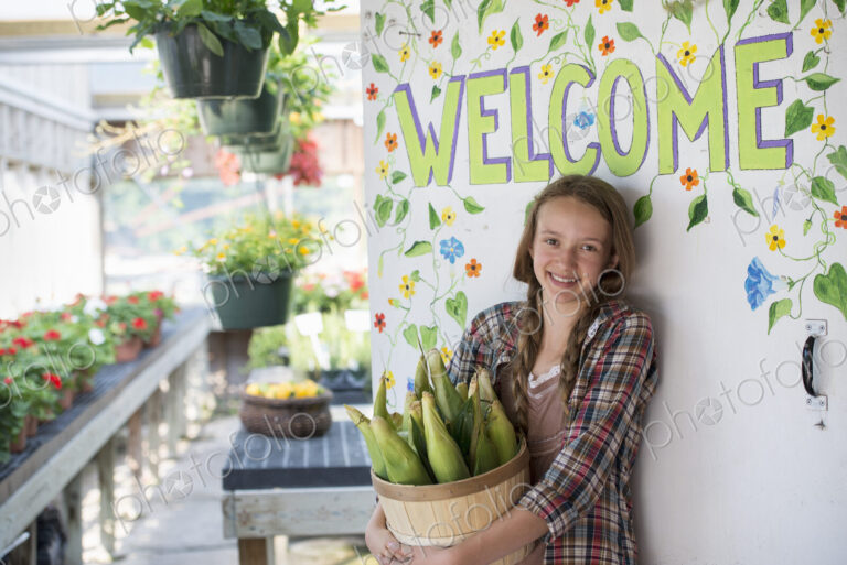 Summer on an organic farm. A girl holding a basket of fresh corn standing by the…