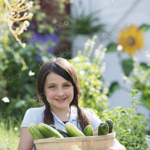 Summer on an organic farm. A girl holding a basket of fresh cucumbers.