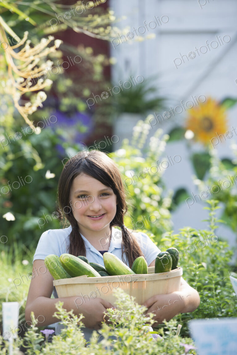 Summer on an organic farm. A girl holding a basket of fresh cucumbers.