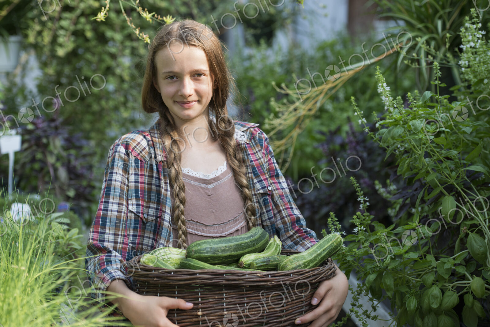 Summer on an organic farm. A girl holding a basket of fresh marrows.