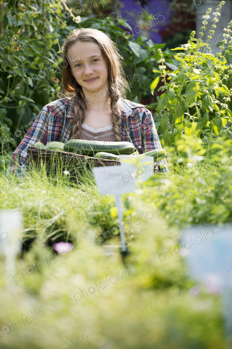 Summer on an organic farm. A girl holding a basket of fresh marrows.