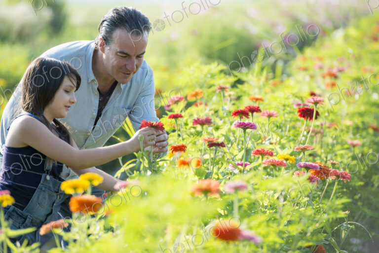 Summer on an organic farm. A man and a girl in a field of flowers.