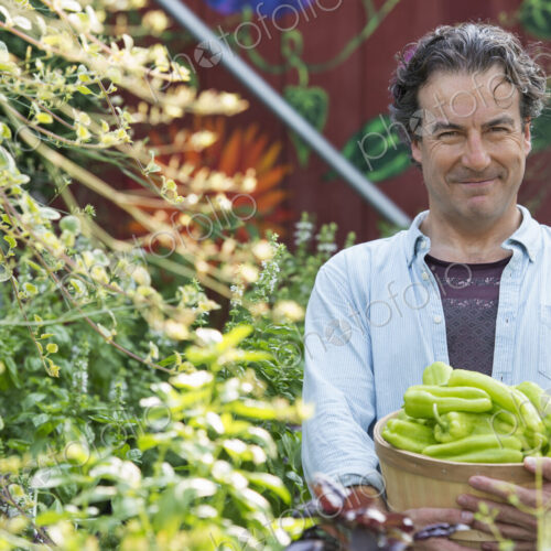 Summer on an organic farm. A man holding a basket of fresh picked vegetables. Summer on an organic farm. A man holding a basket of fresh picked vegetables.