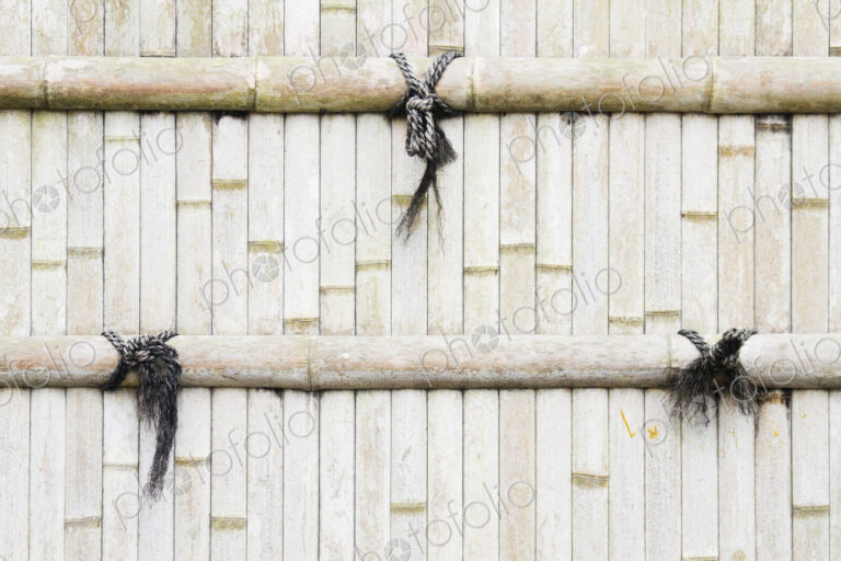Sun Bleached Bamboo Fence