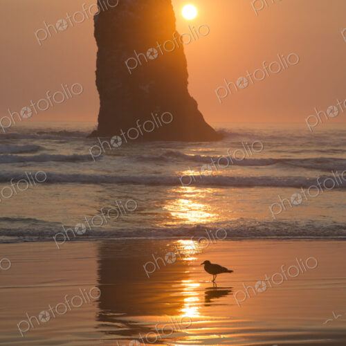 Sun setting behind rock in waves on beach.