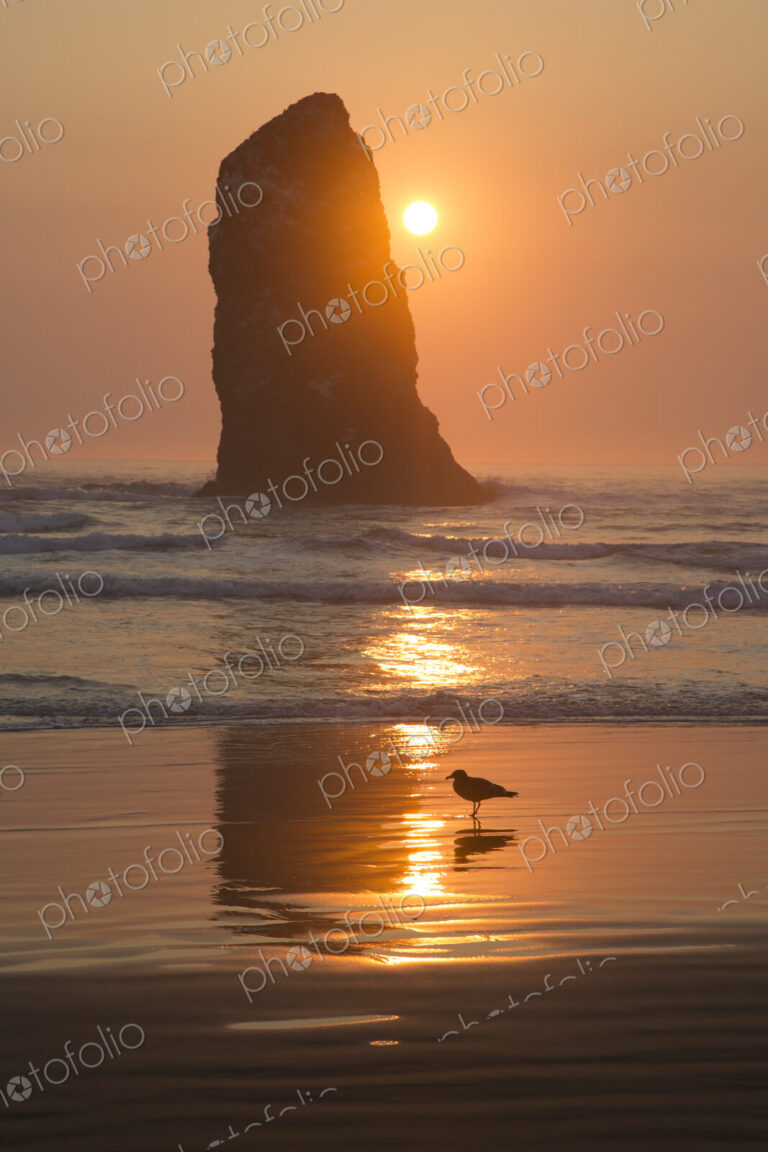 Sun setting behind rock in waves on beach.