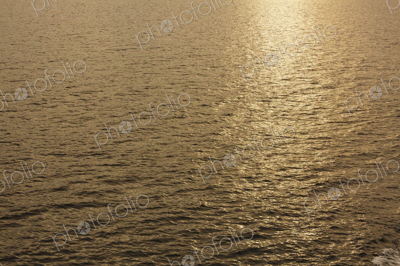 Sunlight on water, Puget Sound, WA USA