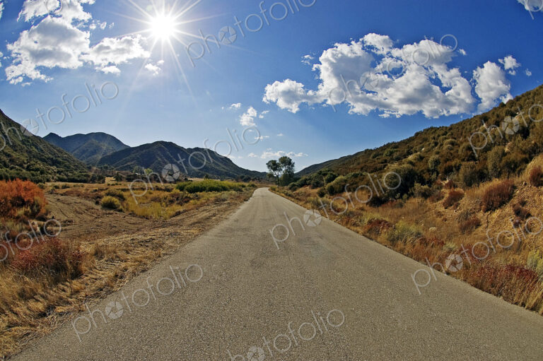 Sunny mountain road