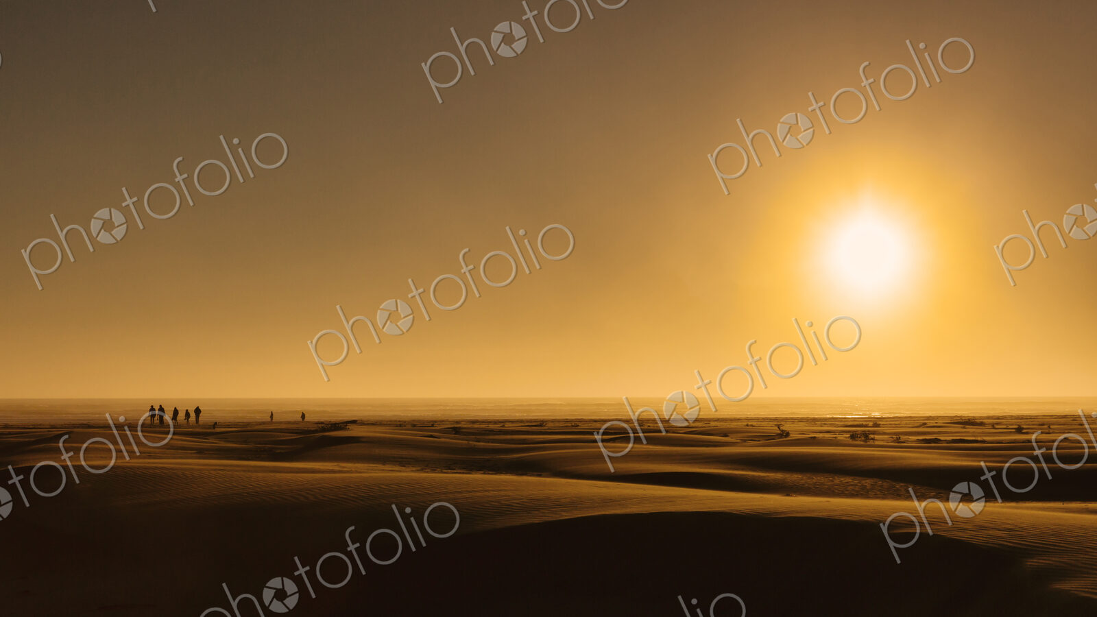 Sunrise over beach sand dunes